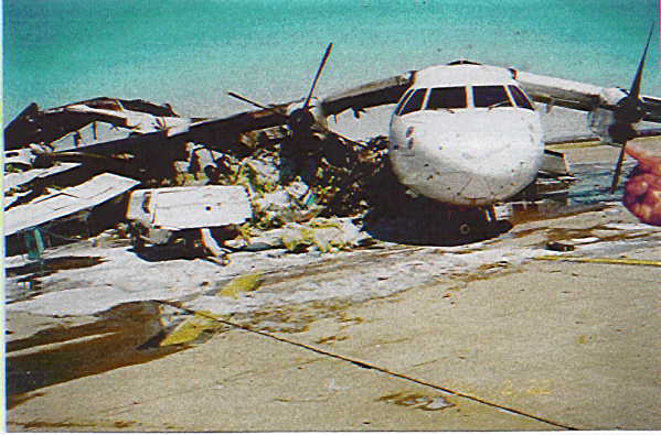 ab99a.jpg